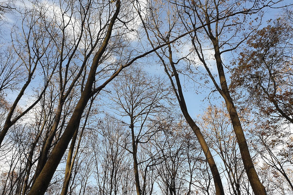 Kapcsolódj (ki) másképp!