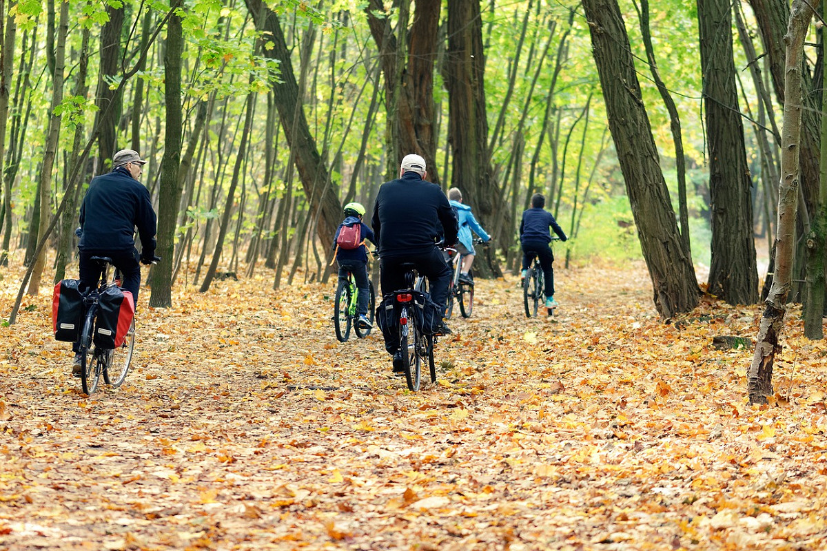 Autumn Bicycle Ride in Mecsek Hills